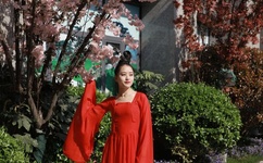 修仙狂徒txt下载